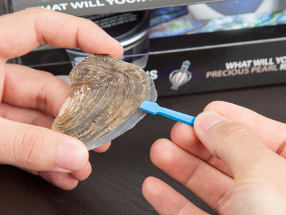 Exclusive Collection İstiridye İnci Kolye, 27 Taşlı